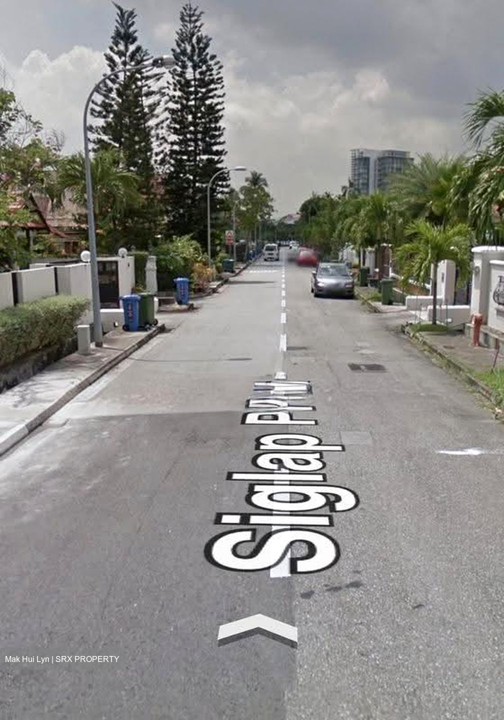 Frankel Estate (D15), Detached #618326921